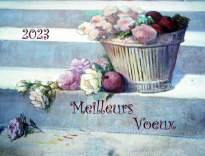 voeux_site_2