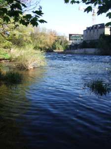 Le gave d'aspe à Oloron. Photo :PLG