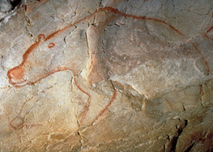 Ours des cavernes-grotte Chauvet