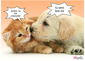 chatouille-chatouille-47384