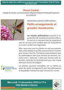 flyer pollinisateur