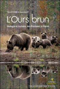 ours-brun-lauzet-etienne